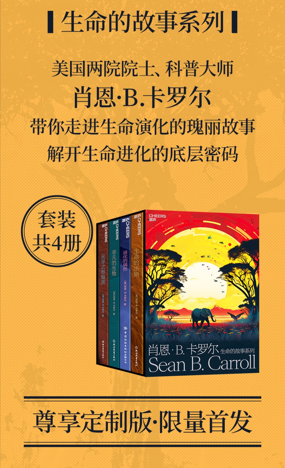 卡罗尔JPG.png